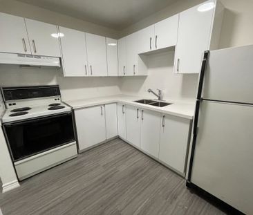 For Lease - 174.5 Hunter Street Unit# 9, Peterborough, Ontario - Photo 3