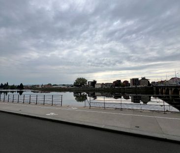 Location Appartement 1 pièce 44m² - Photo 3