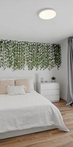 Superbe 4 1/2 rénové, Vieux-Longueuil - Photo 4