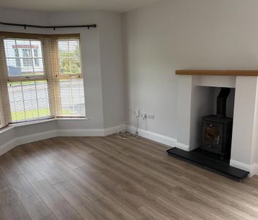 24 Springhill Meadows, Ballyclare, BT39 9LD - Photo 2