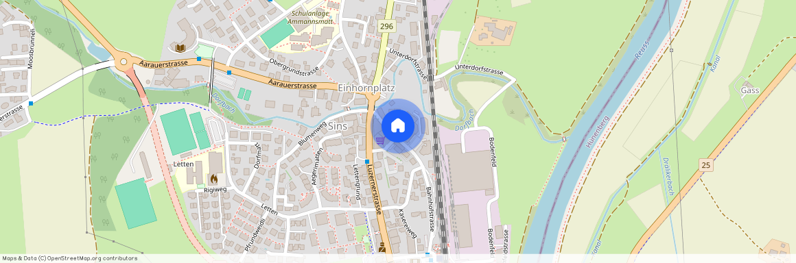 5643, Sins, Bahnhofstrasse, 3