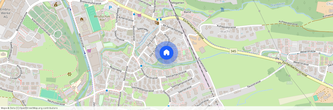 Alt-Ferrachstrasse 37 a, 8630 Rüti ZH