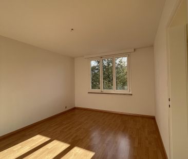 2.5 Zimmer, 44 m², 2. Stock - Photo 5