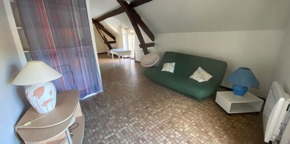 Location Appartement 1 pièce 44m² - Photo 3