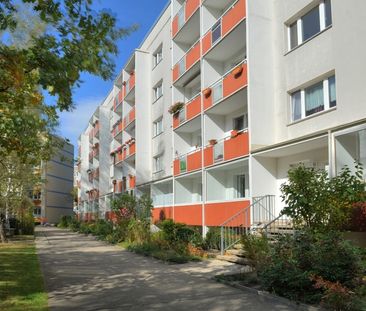 Familienfreundliches Paradies in Halles beliebter Südstadt - Photo 4