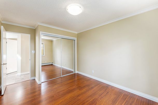 1 Bedroom - Renovated - Photo 1