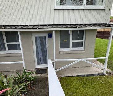 1 Bed house in Glen Eden - Photo 4