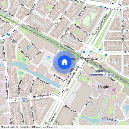 Cronestein, 2321 HZ, Mangoweg, Leiden