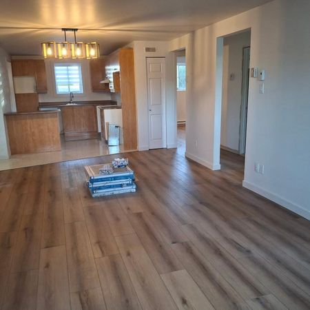 4/12 demi sous-sol - Photo 3