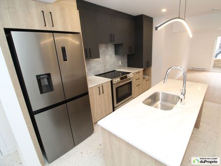 3 1/2-3810, rue Rachel Est, Rosemont / La Petite Patrie à louer - Photo 2