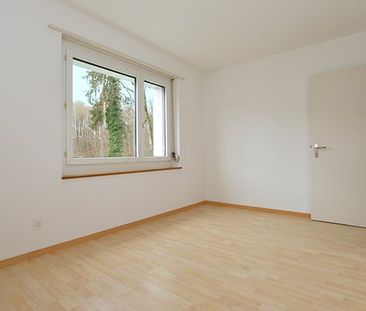 3 Zimmer, 62 m², 1. Stock - Foto 3