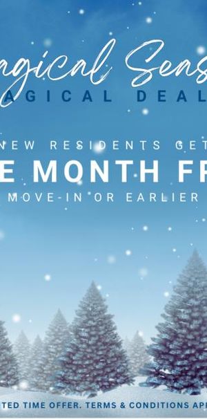 Windsor Park Village - Photo 1