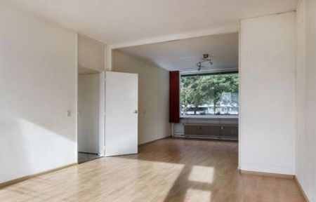 Eisenhowerlaan 3527 HG Utrecht - Foto 4