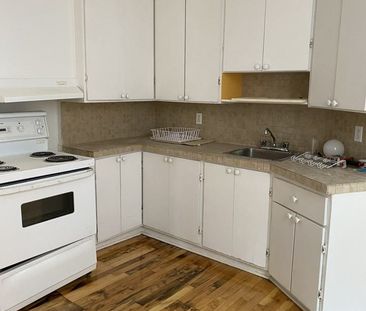 3435 Rue de Bullion apartment — Montréal, QC (3-Bedroom) - 3 Bedroom - Photo 5