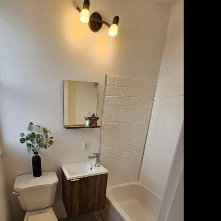 1 CH - 1 SDB - Montréal - $1,250 /mo - Photo 3
