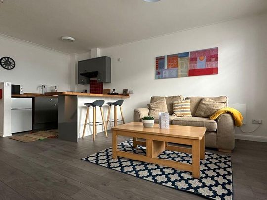 1 bedroom flat to rent - Photo 1