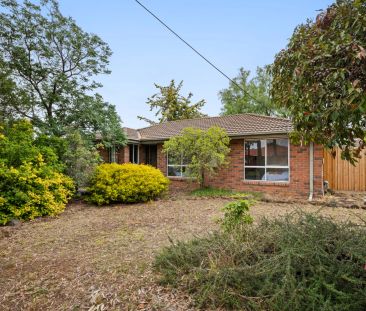 Freshly Painted Family Home with Brand New Carpet & Spacious Backyard - Photo 4