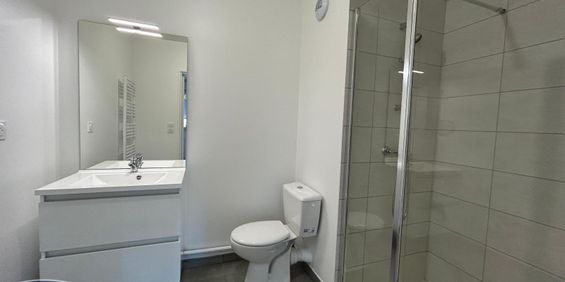 Location Appartement 1 pièce 28m² ANGERS 49000 - Photo 3