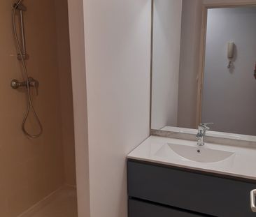 Location Appartement 1 pièce 20m² ST PIERRE 97410 - Photo 4