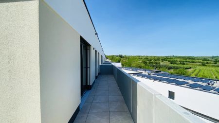 Danube Hills Krems - Moderne, elegante Dreizimmerwohnung mit fantastischer Aussicht - Foto 4