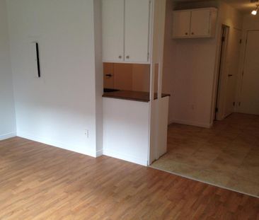 SUPERBE STUDIO (1½) - RÉNOVÉ - 845$/MOIS TOUT INCLUS ! DISPONIBLE P... - Photo 2