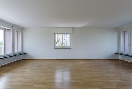Vivre de prestige au-dessus des toits de Birsfelden - Foto 2