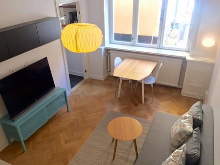 Comfortable one room appartment in the heart of Södermalm/SoFo - Photo 3