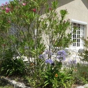 Maison - Photo 3
