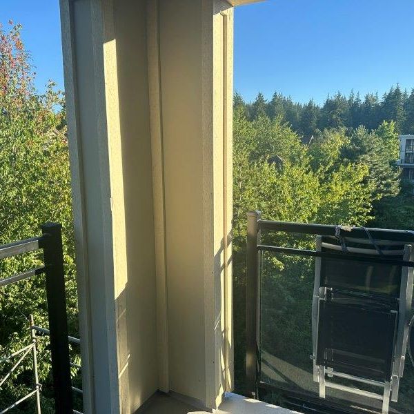 Top Floor Corner Unit 2 Bedroom/2 Bath - Photo 1