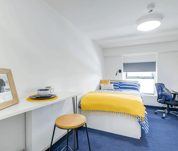 Bronze Plus Studio - Photo 2