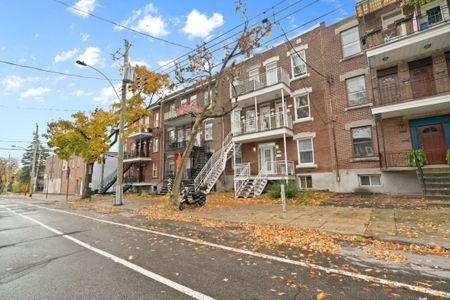 Appartement à louer - Montréal (Rosemont/La Petite-Patrie) (Vieux-Rosemont) - Photo 2