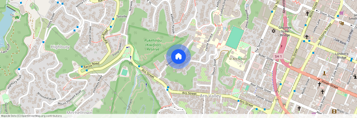 30A Adams Terrace, Aro Valley, Wellington