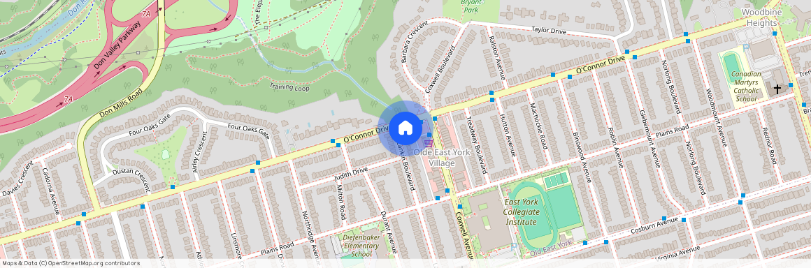 113 Lankin Boulevard, Toronto