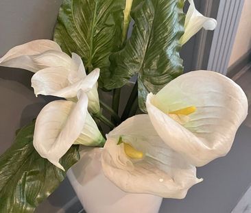 2 Bed Terraced House, Sedley Street, L6 - Photo 5