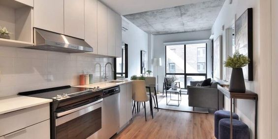 Studio - 1211 Rue Berri, Montréal - Photo 3