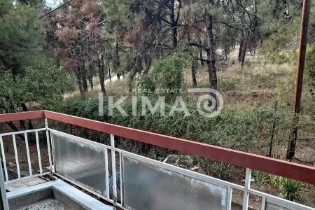 Διαμέρισμα για ενοικίαση 40 Εκκλησιές (40 Εκκλησιές - Ευαγγελίστρια) - Photo 4
