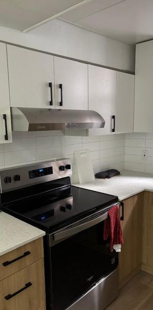 Appartement 4 1/2 près de l'UdeM - Photo 1