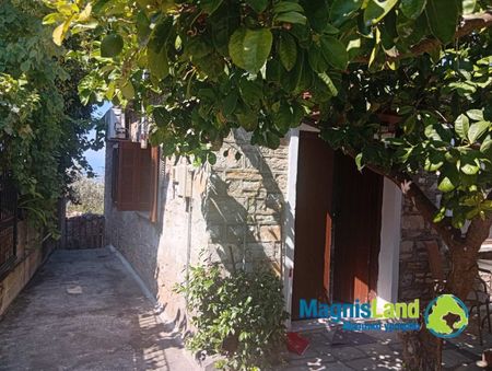 Μονοκατοικία για ενοικίαση Άνω Λεχώνια (Αρτέμιδα) - Photo 4