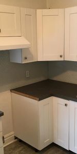 Très grand 4 1/2 Plateau Mont-Royal - Photo 3