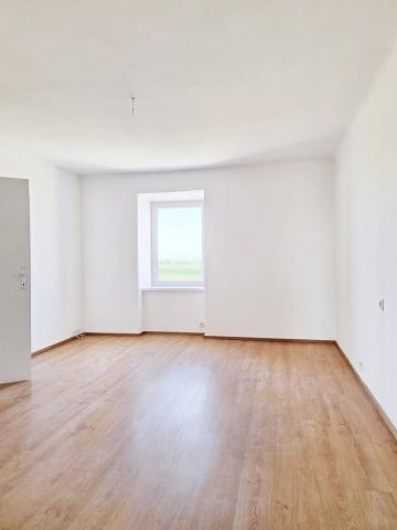 Eine helle Wohnung im Grünen! - Foto 2