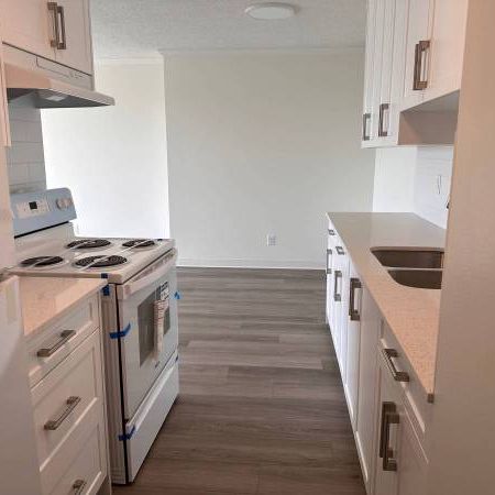 2-Bedroom Fully Renovated close to SkyTrain (Lougheed) - Photo 4