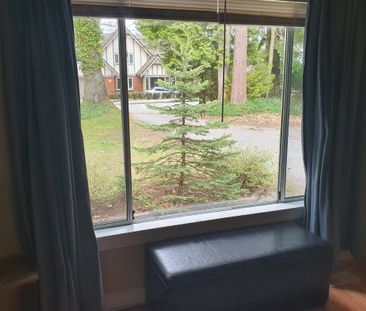 21314 124 Avenue, Maple Ridge - Photo 6