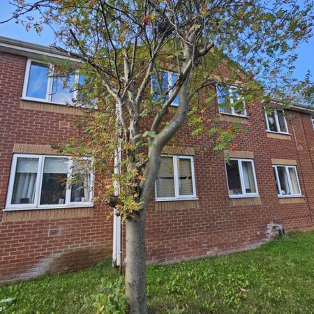 2 bed Flat - To Let - Photo 4