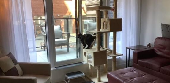 Appartement/condo 4 1/2 - Photo 2