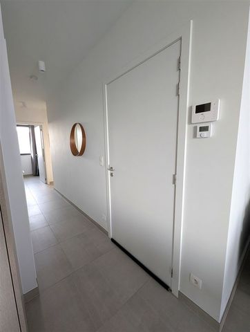 Haantjeslei 64, 2018, Antwerpen - Photo 3