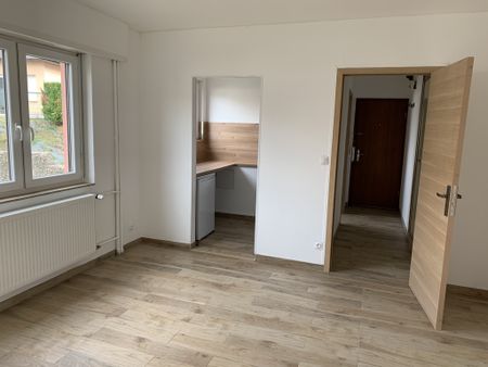 Location Appartement 2 pièces 36m² SARREGUEMINES 57200 - Photo 4