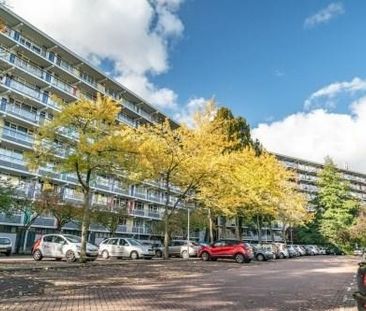 Zijldonk 0ong, 2317 DP Leiden, Nederland - Foto 2