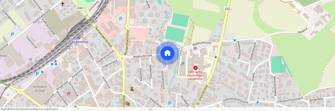 Waldhofstrasse 8, 4900, Langenthal