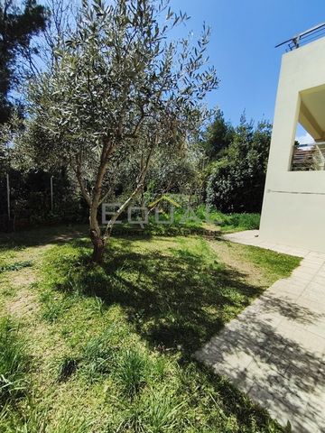 Μεζονέτα 125 τ.μ. προς ενοικίαση - Photo 2