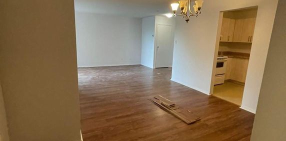 4 Et Demi Spacieux Disponible - Photo 2